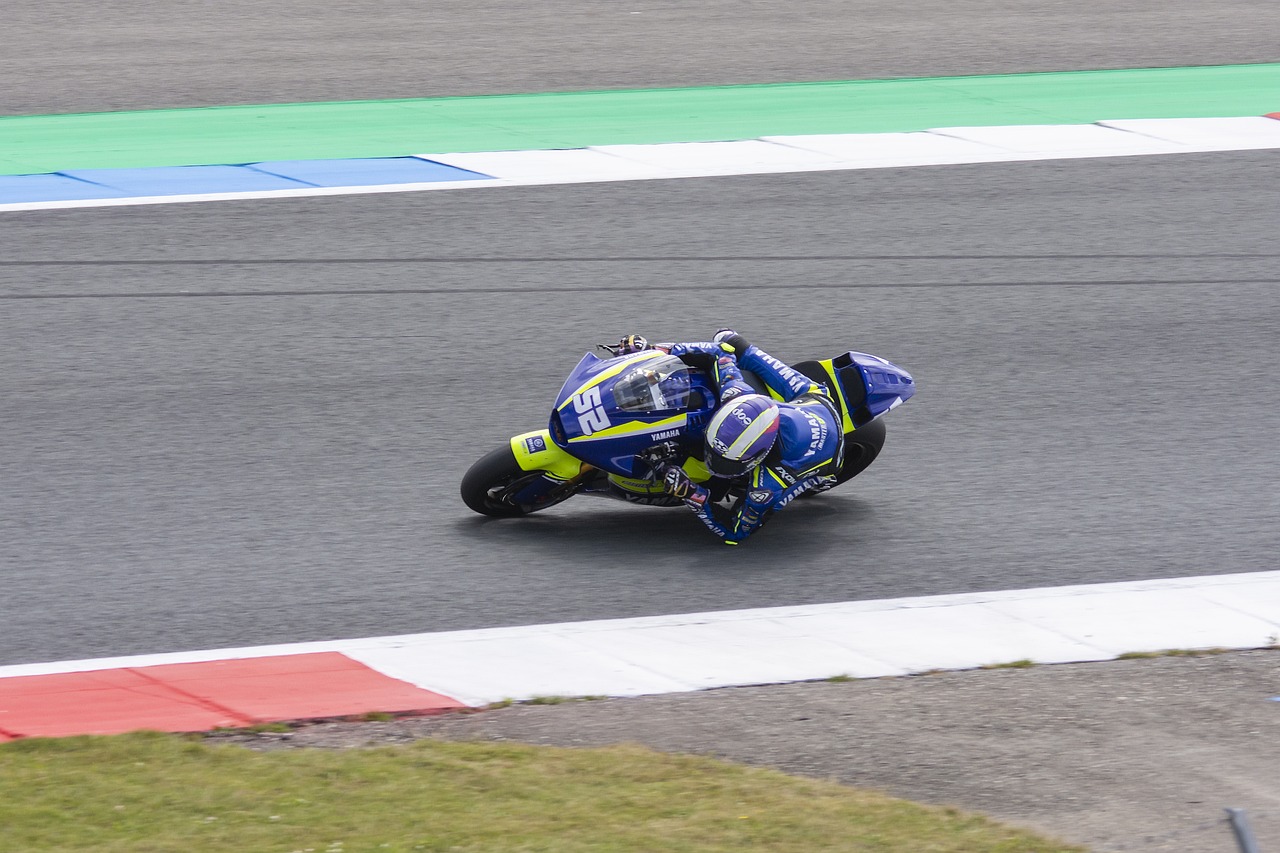 球迷间引起 球迷间引起