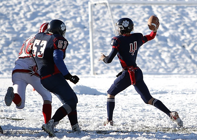 斯皮思的数 斯皮思的数