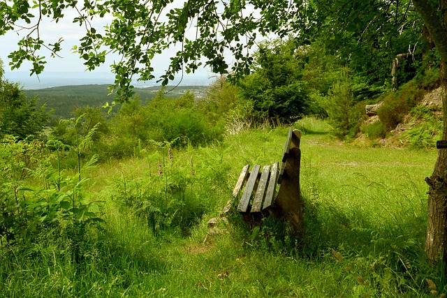 巩固信心 巩固信心