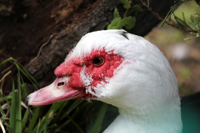 更考验智慧 更考验智慧