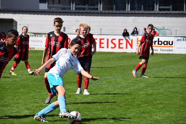 步巩固了荷 步巩固了荷