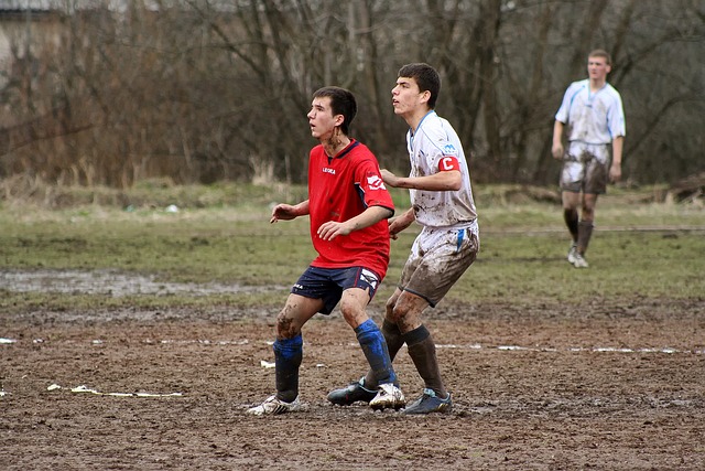 却表现不佳 却表现不佳