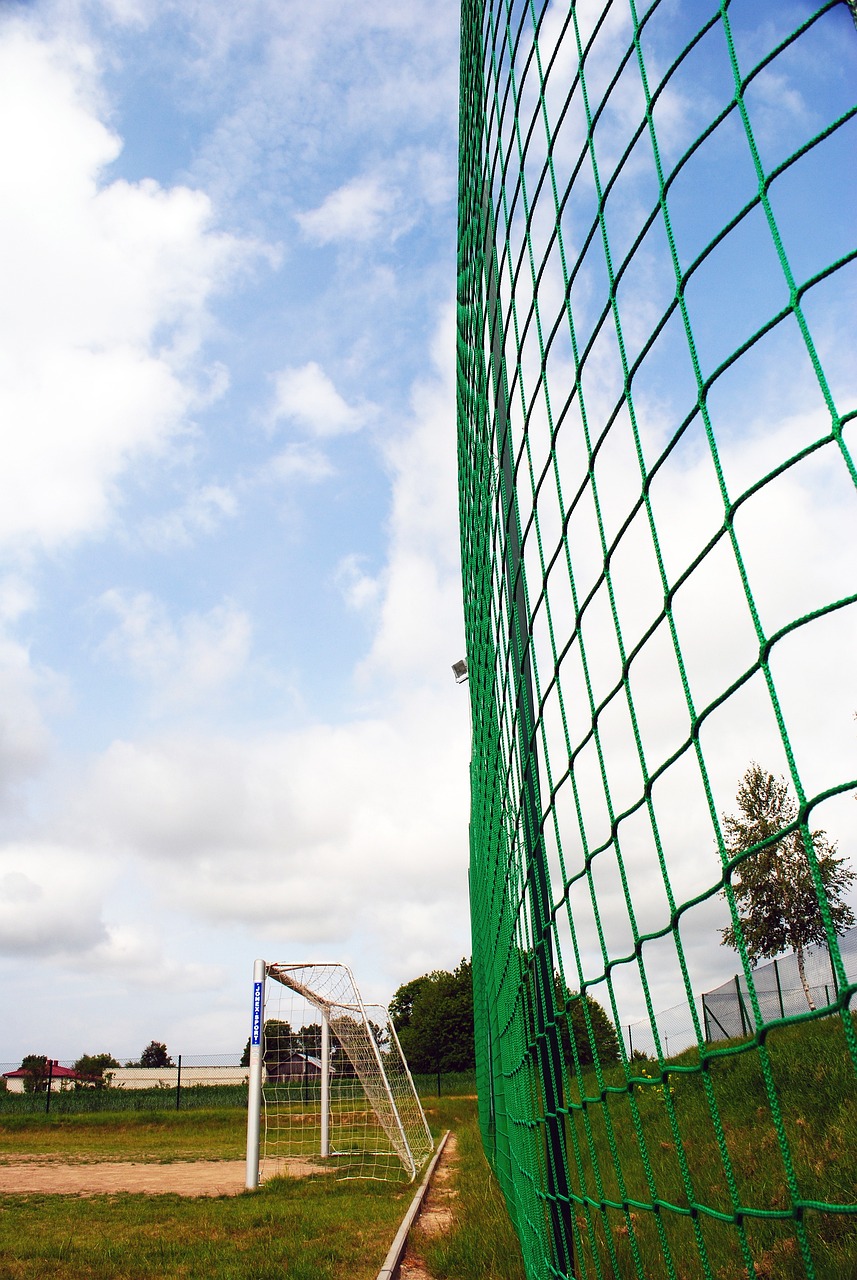 心理素质的 心理素质的