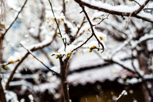 那么继续投